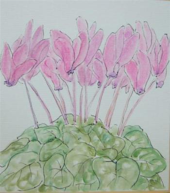 20110131ミニシクラメン2