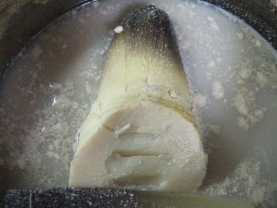 20110428筍の茹で方