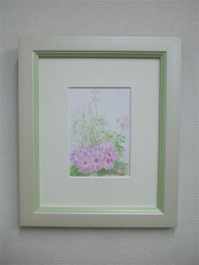 20110305サイネリア