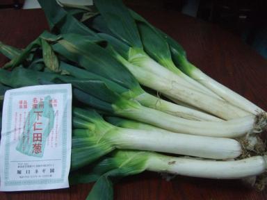 20080907下仁田葱