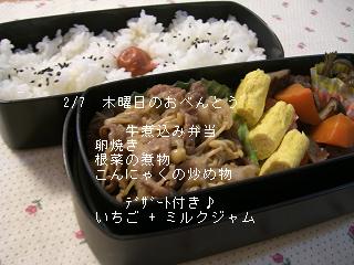 2/7 牛煮込みべんとう