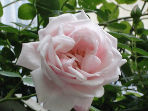 20100522_27.jpg