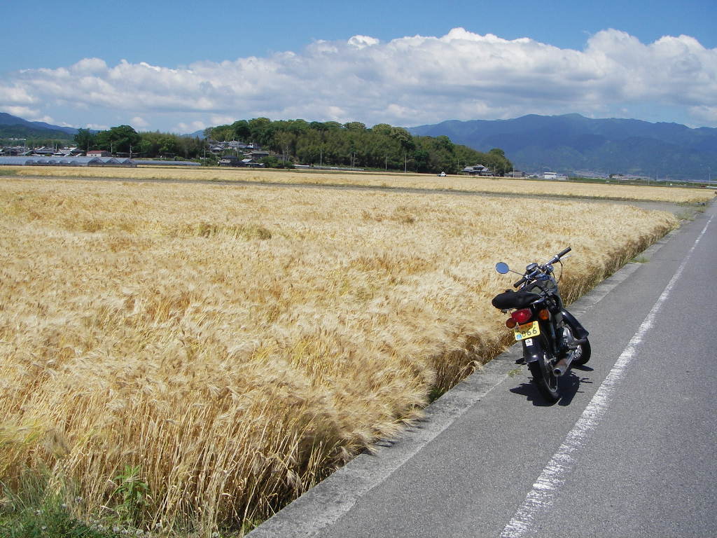 運行記録 の記事一覧 神速 God Speed 楽天ブログ