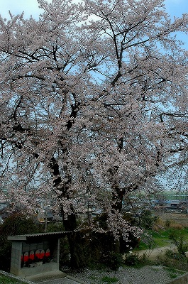傘地蔵