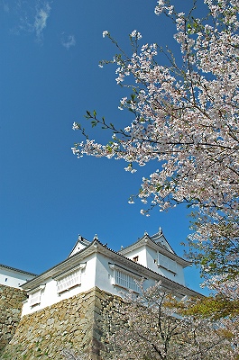 鶴山公園