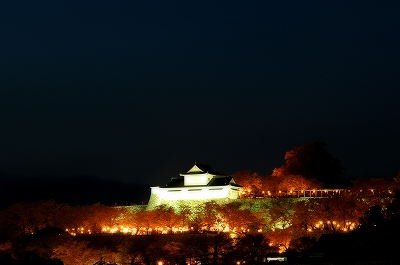 鶴山公園　夜