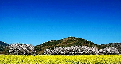 ビューパーク玉川