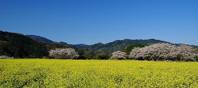 ビューパーク玉川
