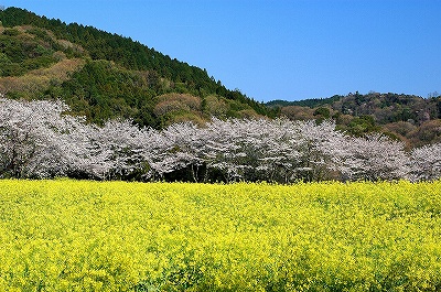ビューパーク玉川