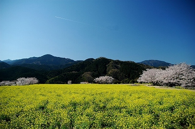ビューパーク玉川