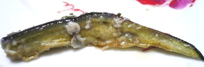 110309茄子アップ