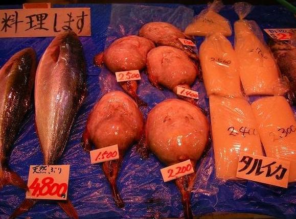 お魚たち