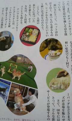 200805251903000.jpg