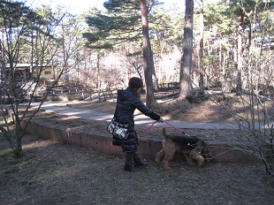 IMG_1311.JPG