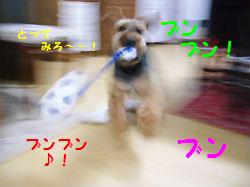 散歩 026.jpg