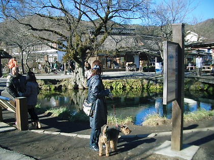 忍野八海にて