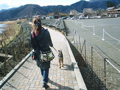 湖畔散策２