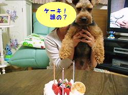 ゴールデンウィーク 027.jpg