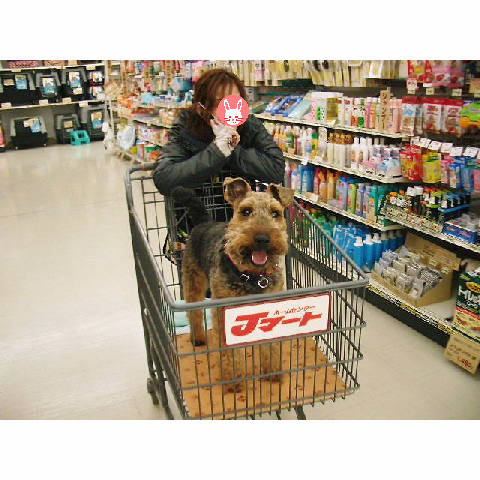 一緒にお買い物