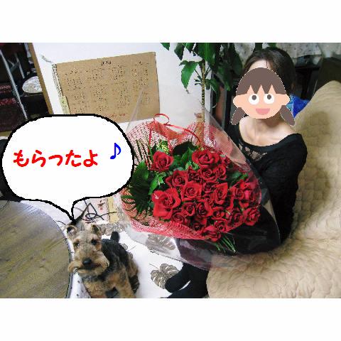 もらったよ.JPG