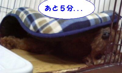 200805071952001.jpg