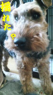 2011041214300000.jpg