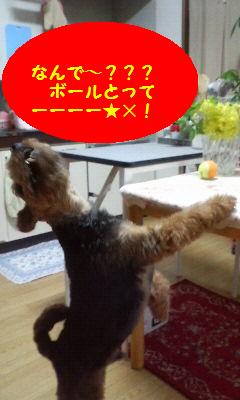 200805181943000.jpg
