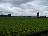 s-CIMG4253.jpg