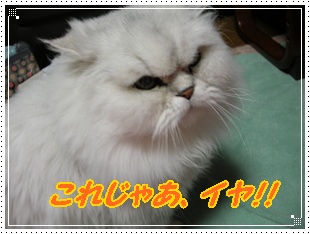DSCN3860.JPG