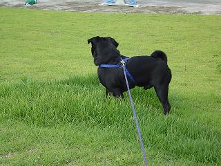 公園４.jpg