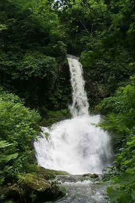 DSC06881.jpg