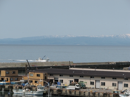 IMG_3613_R.JPG