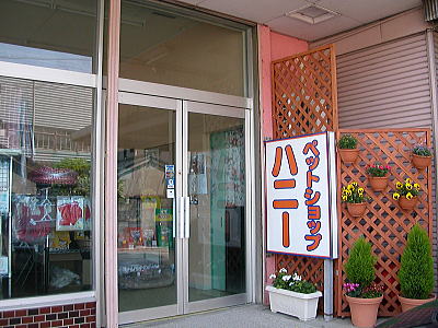 ペットショップハニー