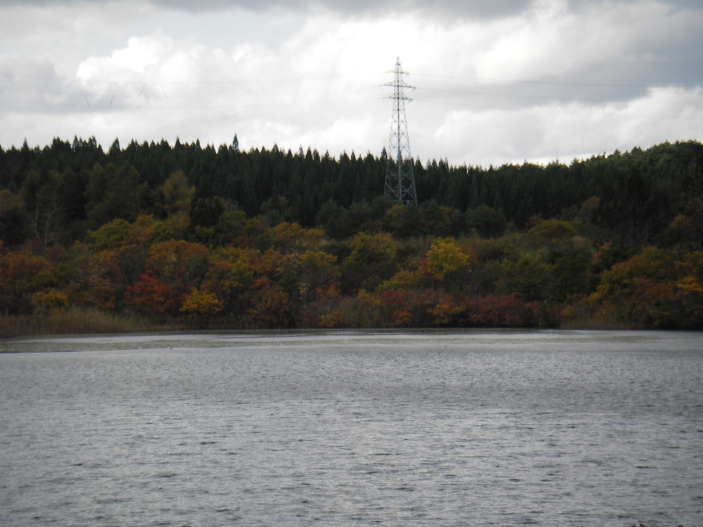 IMGP8008.JPG