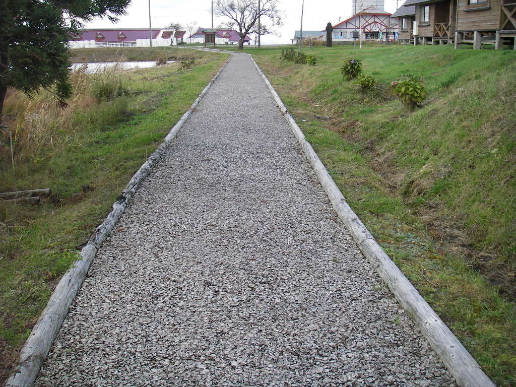 IMGP8006.JPG