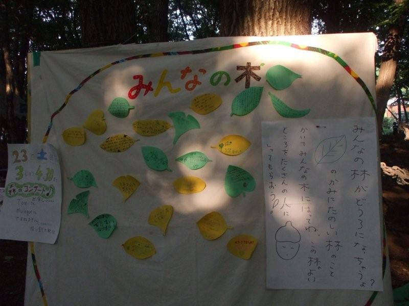 みんなの木大.jpg