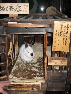 温泉うさぎ.jpg