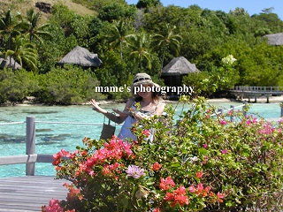 borabora 花.jpg