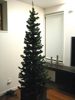 tree1.jpg