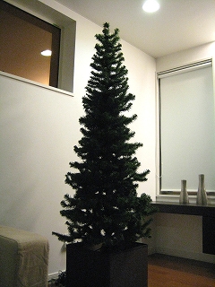 tree1-1.jpg