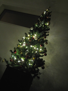 tree6.jpg