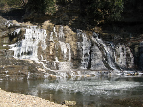 2012.1.28blog4.JPG