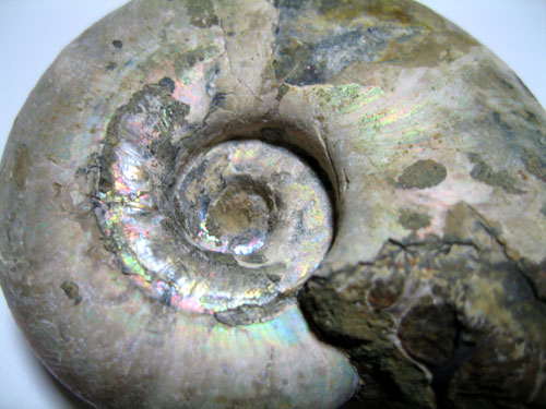 2012.1.16blog5.jpg