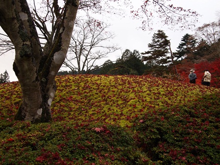 古峯園18