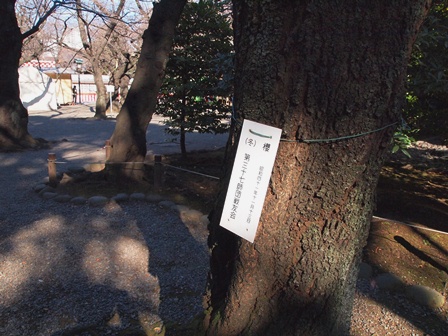 靖国神社参拝5