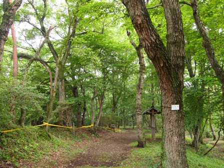 勝山城址公園2