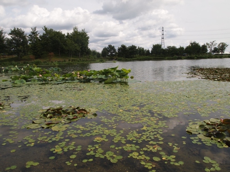 水遊園7