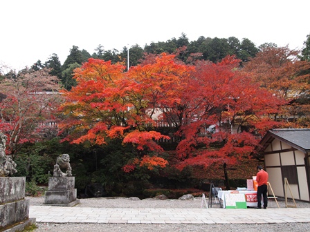 古峯神社9