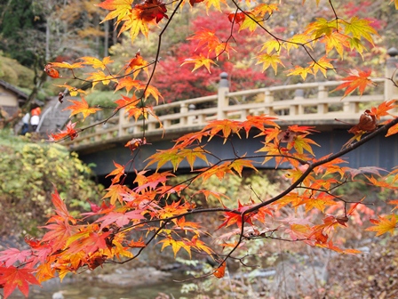 古峯神社10