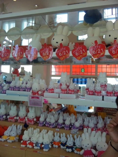 ナインチェプラウス